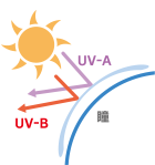 紫外線カット
