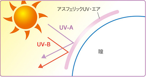 有害な紫外線（UV-A、UV-B）をカット