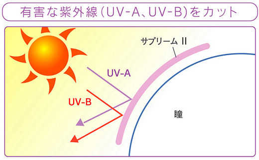 有害な紫外線をカット