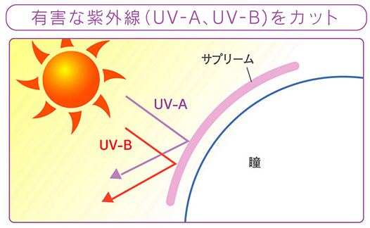 有害な紫外線をカット