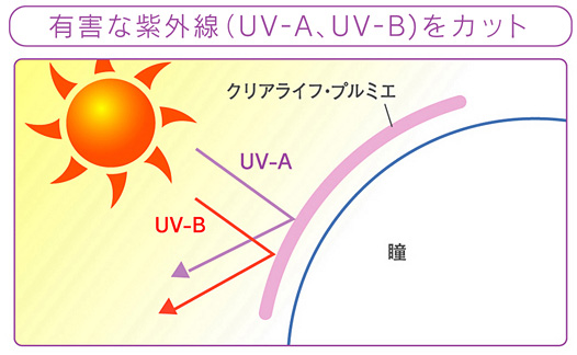 有害な紫外線をカット