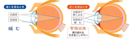 パソコンや読書、携帯メールで目にかかる負担